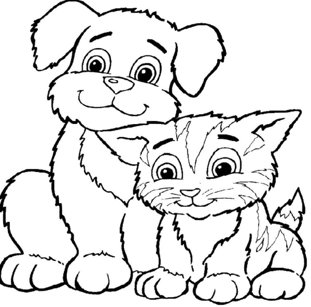 Online coloring pages puppy coloring a kitten with a puppy kittens and puppies