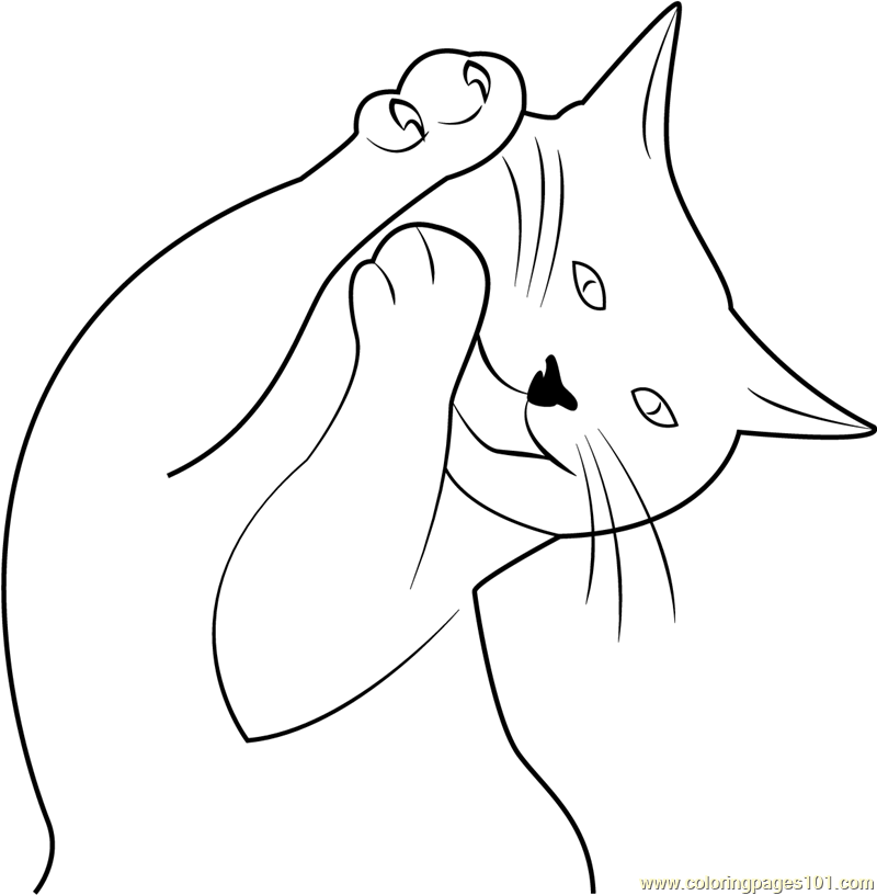 Cat karate by drezdany coloring page for kids