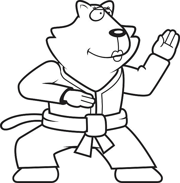 Kitty karate stock illustrations royalty