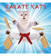 Karate kats mini karate cats browntrout books