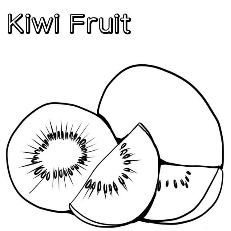 Kiwi coloring pages