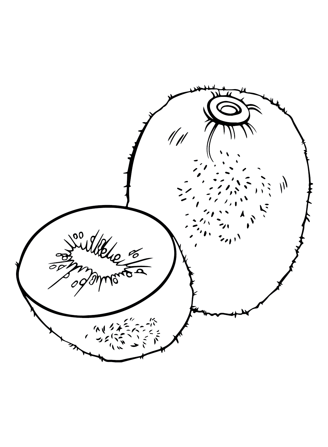 Kiwi fruit coloring pages printable for free download