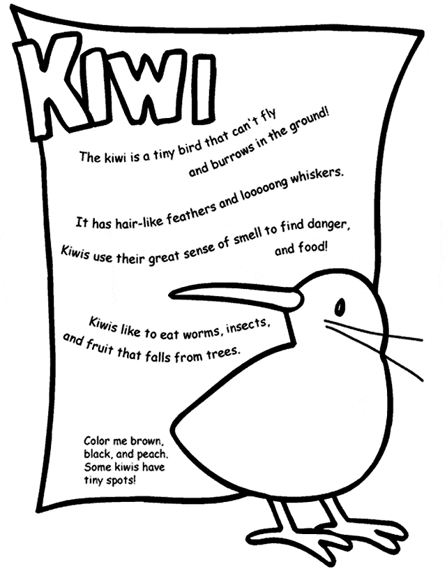 Kiwi coloring page