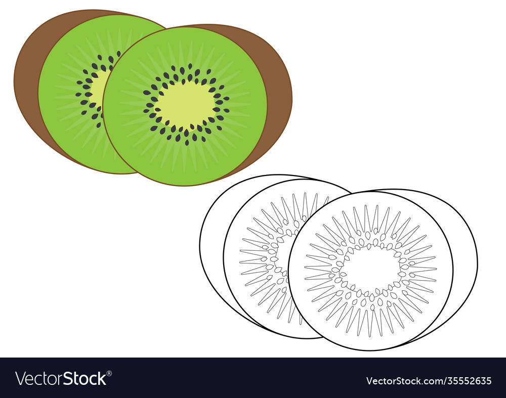 Kiwi fruit coloring page game for fids royalty free vector