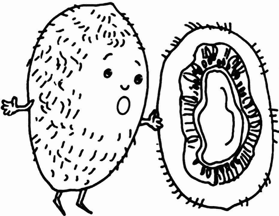 Kiwi coloring pages