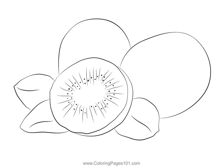 Kiwi at coloring page coloring pages coloring pages for kids printable coloring pages