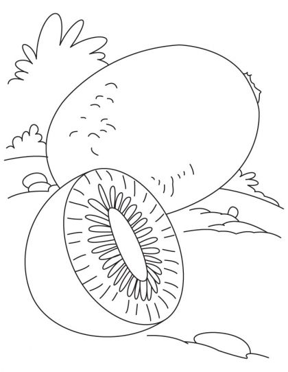 Kiwi coloring page download free kiwi coloring page for kids best coloring pages fruit coloring pages coloring pages apple coloring pages