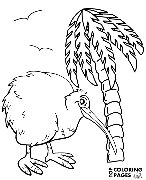 Printable bird kiwi coloring sheet for kids