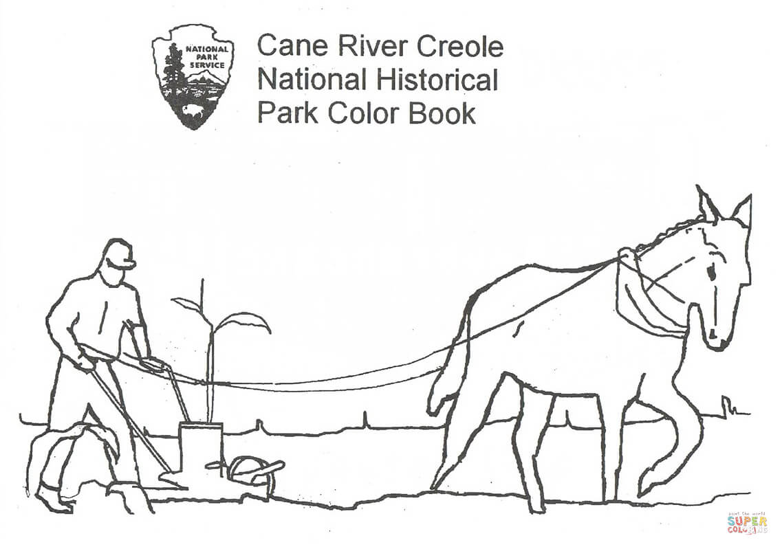 Mule plowing from cane river creole coloring page free printable coloring pages