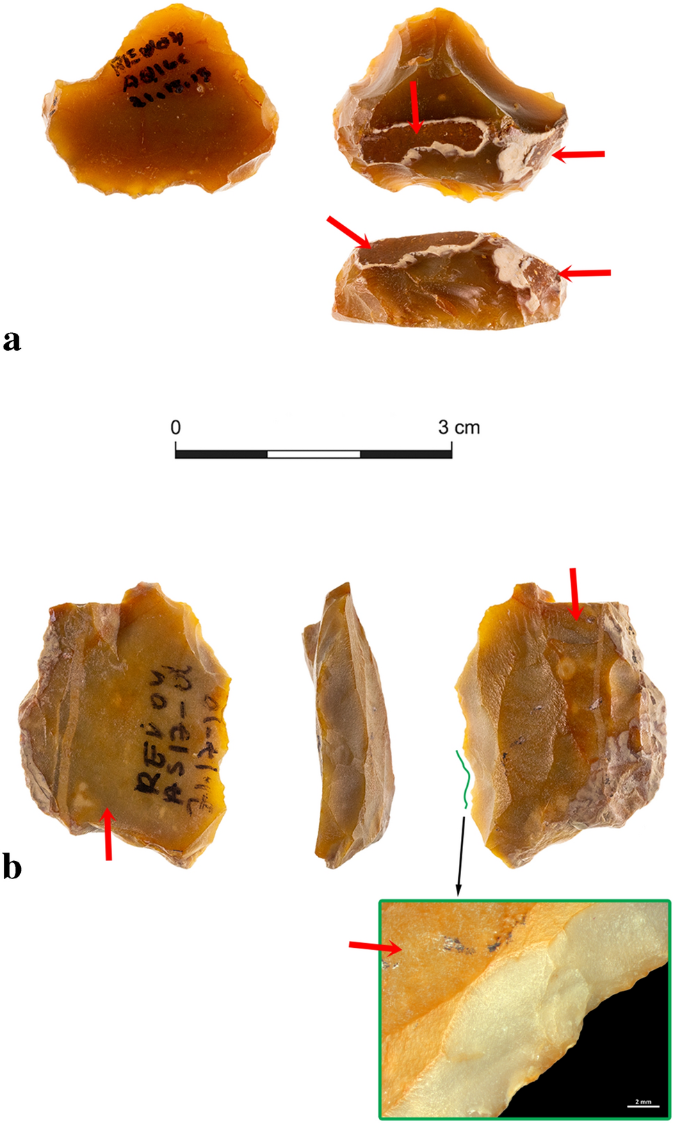 Function life histories and biographies of lower paleolithic patinated flint tools from late acheulian revadim israel scientific reports