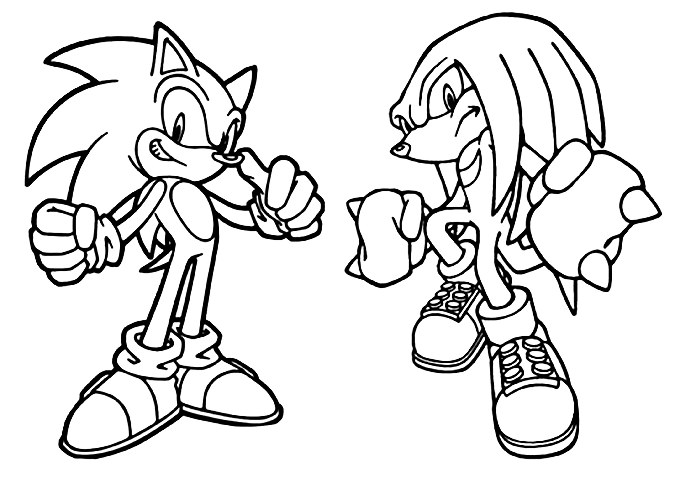 Sonic and knuckles