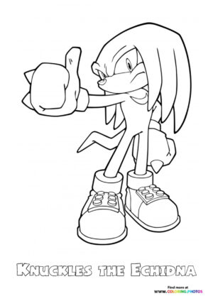 Sonic the hedgehog