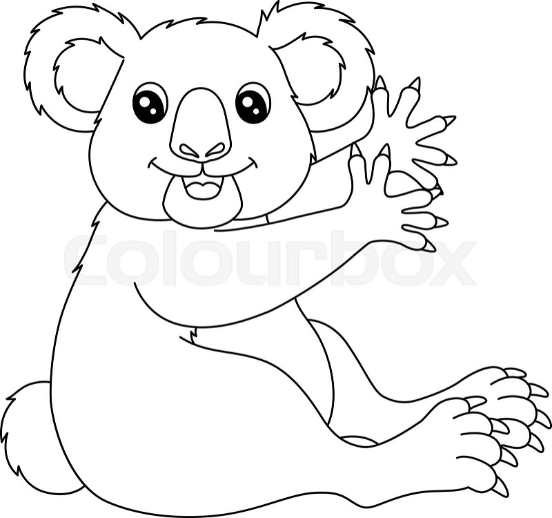 Koala coloring page isolated for kids stock vector