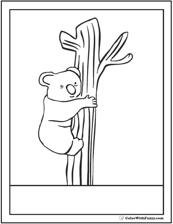 Koala coloring pages for kids hop a ride with a koala