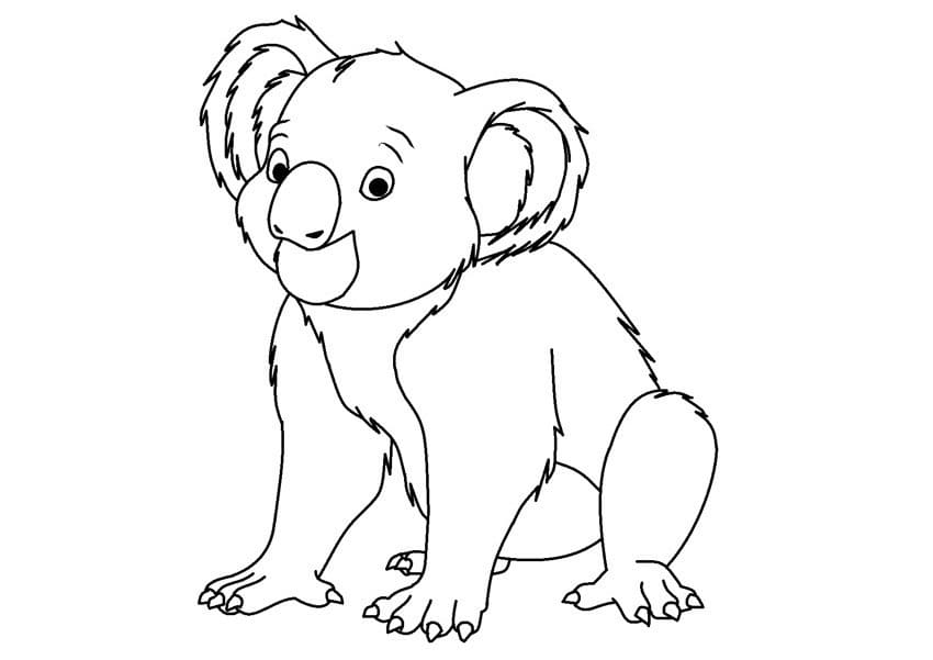 Cute cartoon koala coloring page