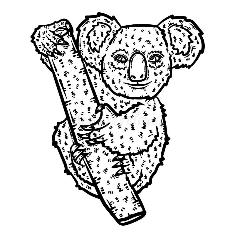 Koala colouring stock illustrations â koala colouring stock illustrations vectors clipart