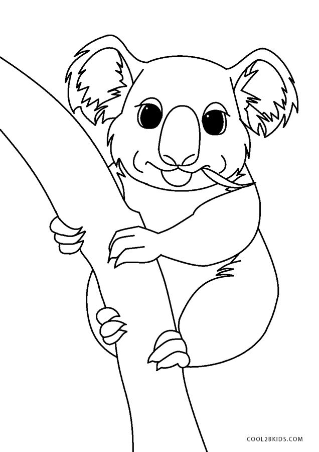 Free printable koala coloring pages for kids coloring pages for kids koala bear coloring pages