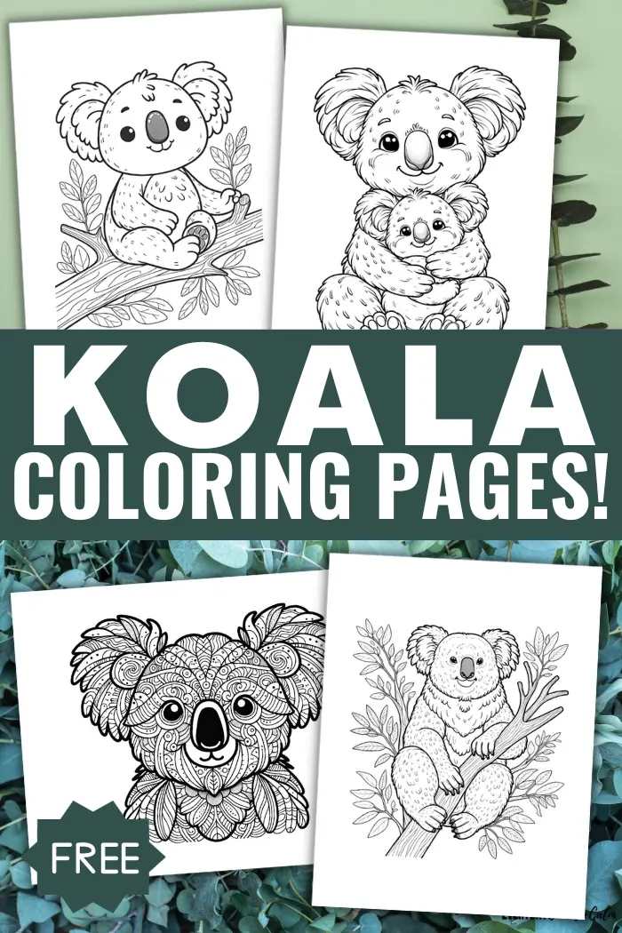 Free koala coloring pages for kids