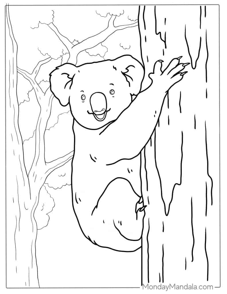 Koala coloring pages free pdf printables