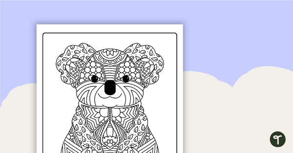 Koala mindful coloring sheet teach starter