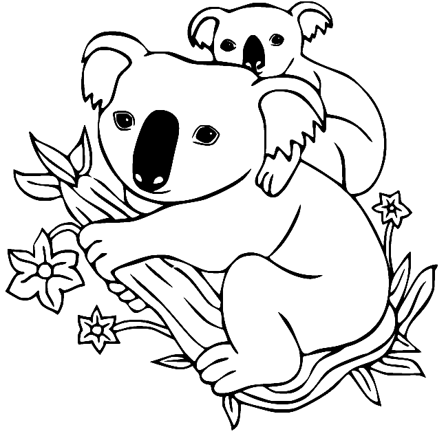 Koala coloring pages printable for free download