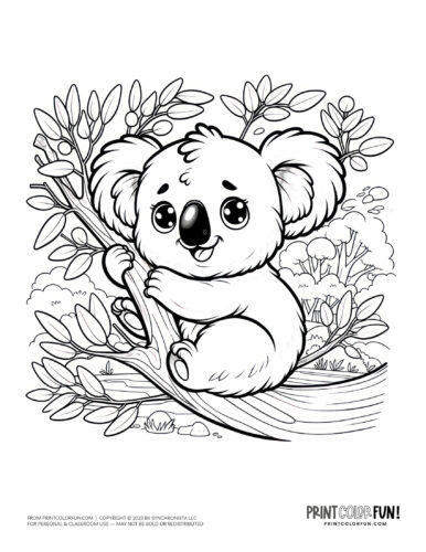 Free cute koala coloring pages clipart printables at