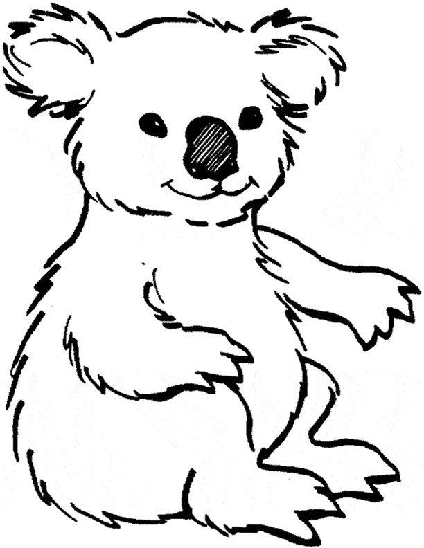 Koala coloring page