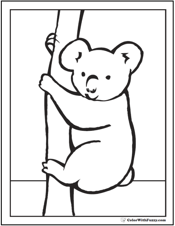 Koala coloring pages for kids hop a ride with a koala