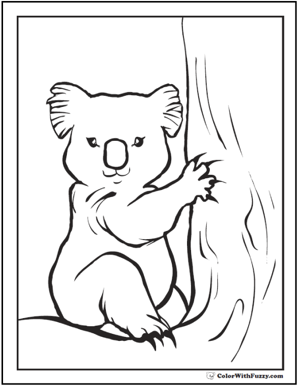 Koala coloring pages for kids hop a ride with a koala