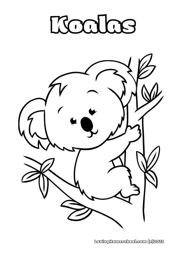 Koala coloring pages