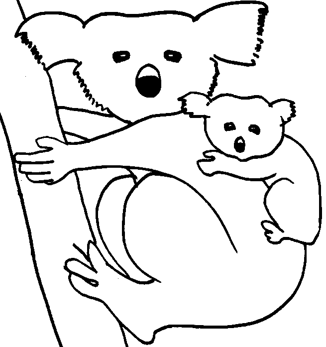 Koala coloring page