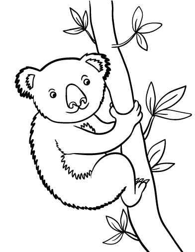 Free koala bear coloring page