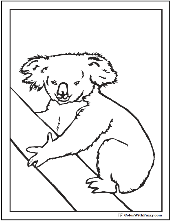 Koala coloring pages for kids hop a ride with a koala