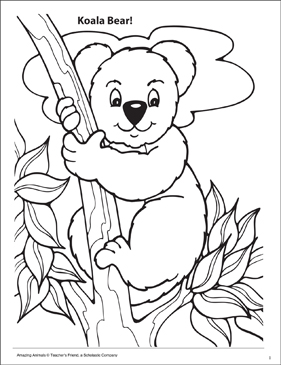 Koala amazing animals coloring page printable coloring pages