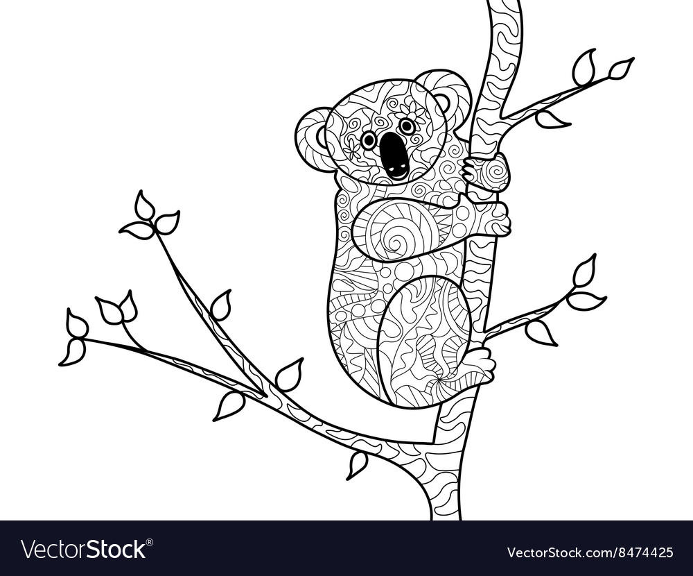 Koala bear coloring book for adults royalty free vector