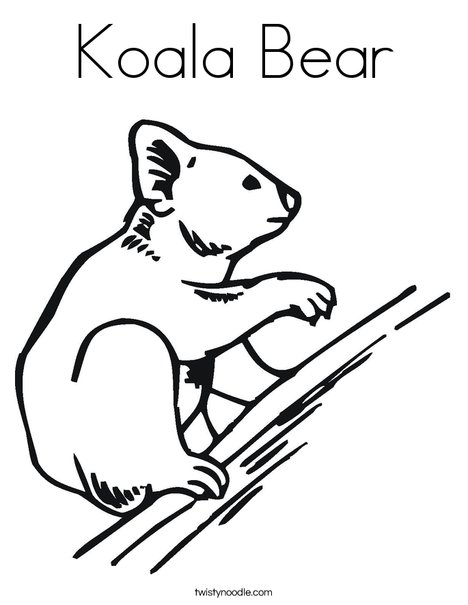 Koala bear coloring page