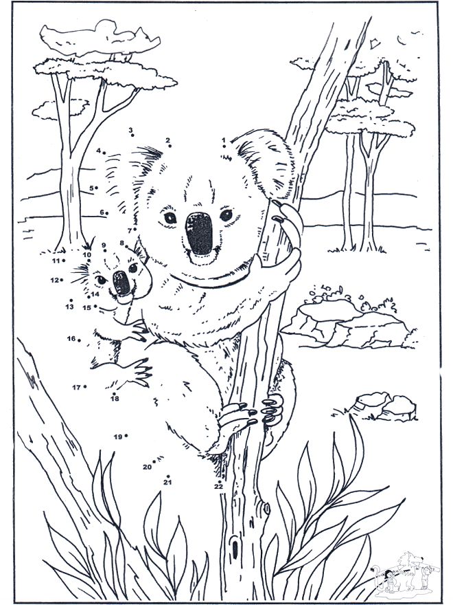 Adorable koala coloring pages for free