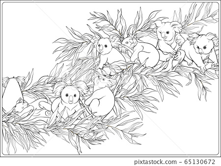 Koala and eucalyptus coloring page for the