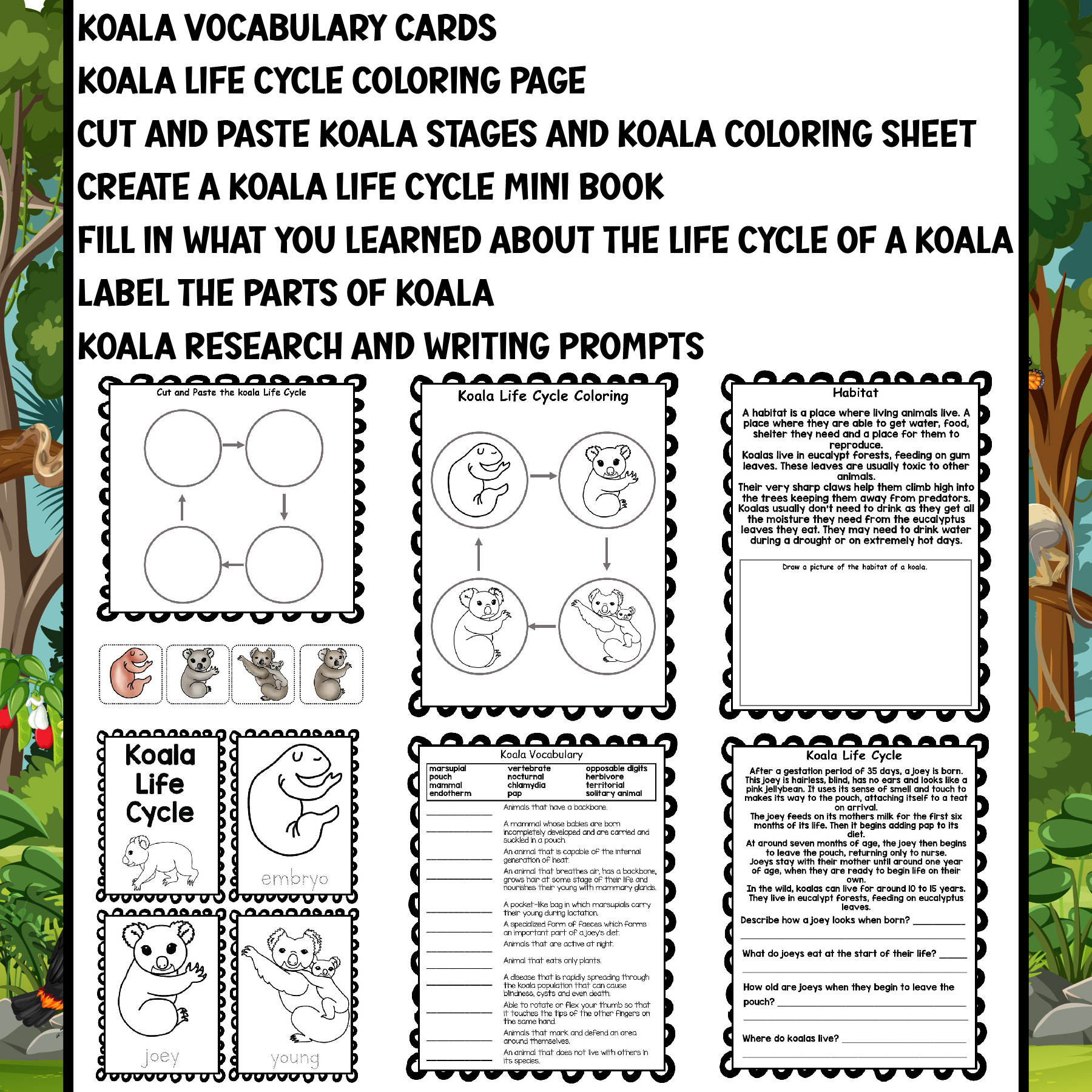 Koala life cycle worksheets