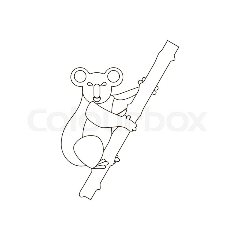 Koala bear coloring pages stock vector