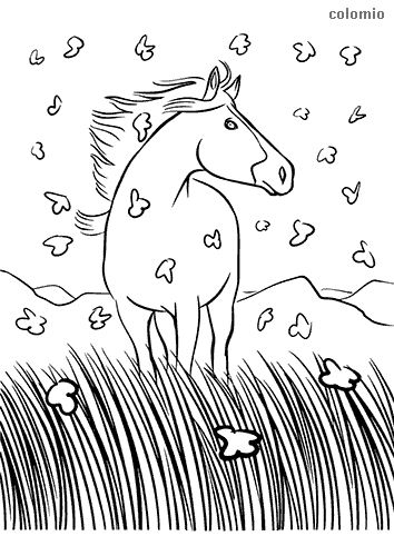 Horses coloring pages free printable horse coloring sheets