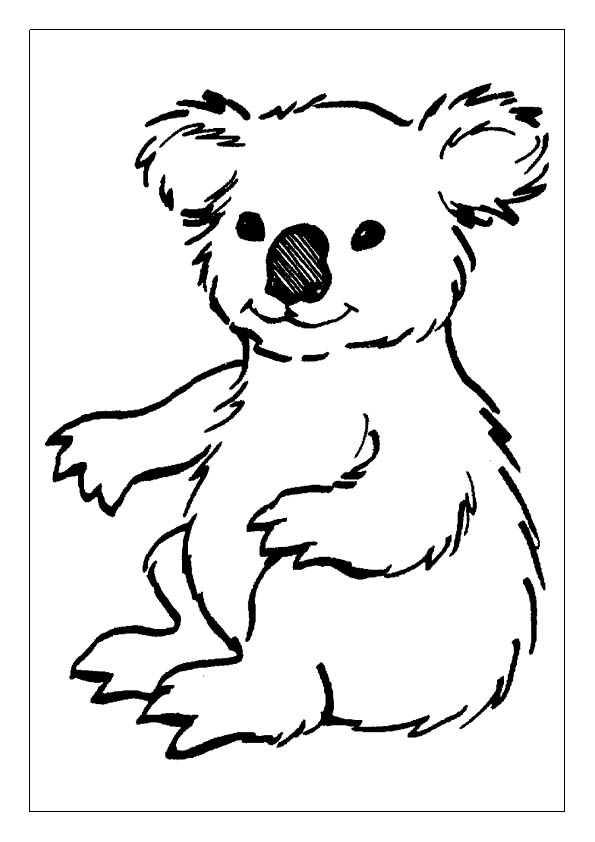 Koala coloring pages free printable coloring sheets for kids