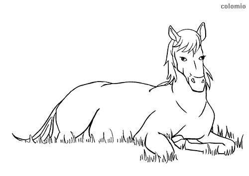 Horses coloring pages free printable horse coloring sheets