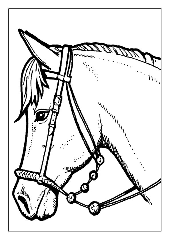 Horse coloring pages free printable coloring sheets for kids