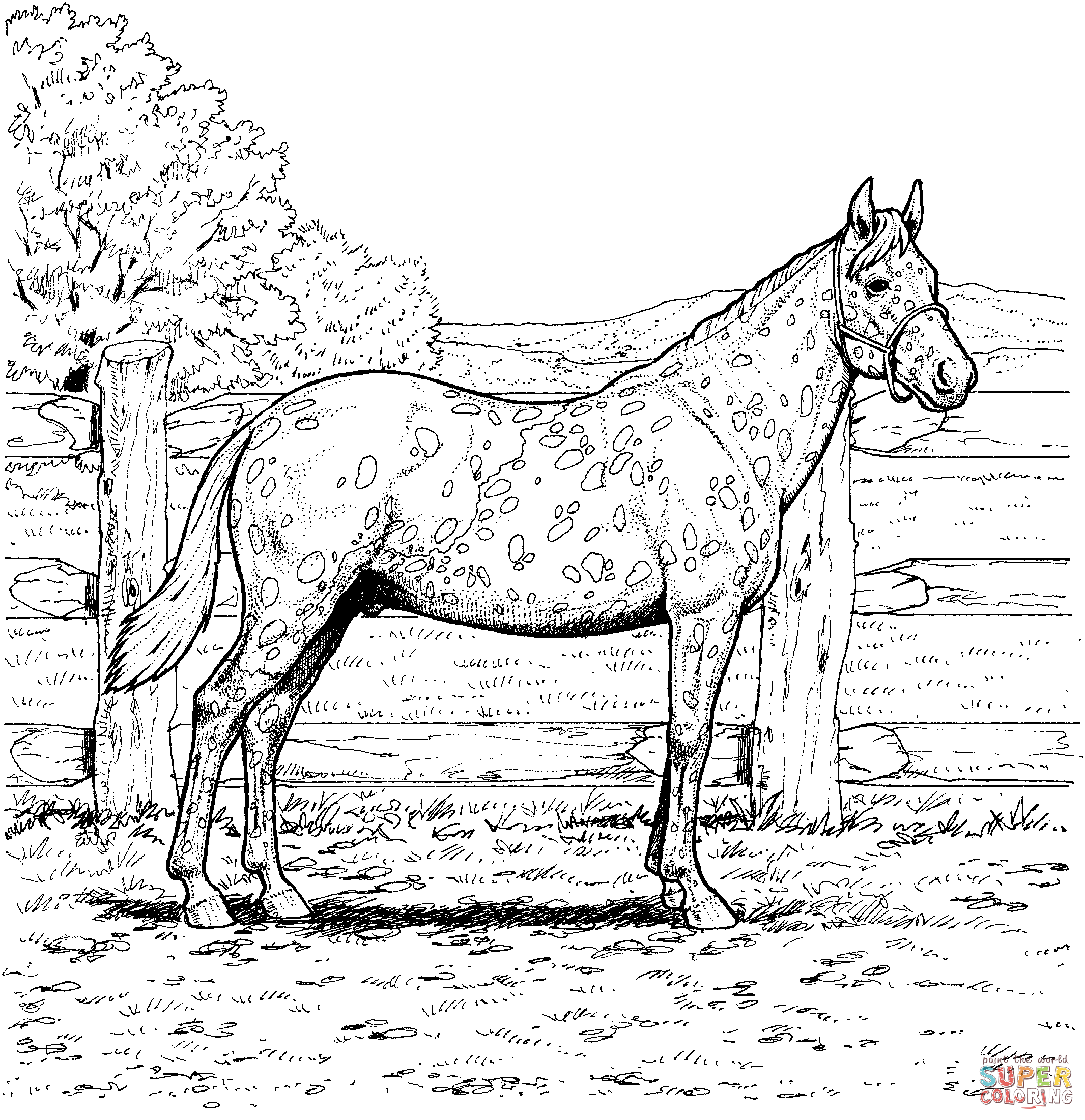 Appaloosa horse with leopard spotted coat coloring page free printable coloring pages