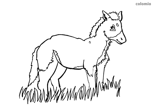 Horses coloring pages free printable horse coloring sheets