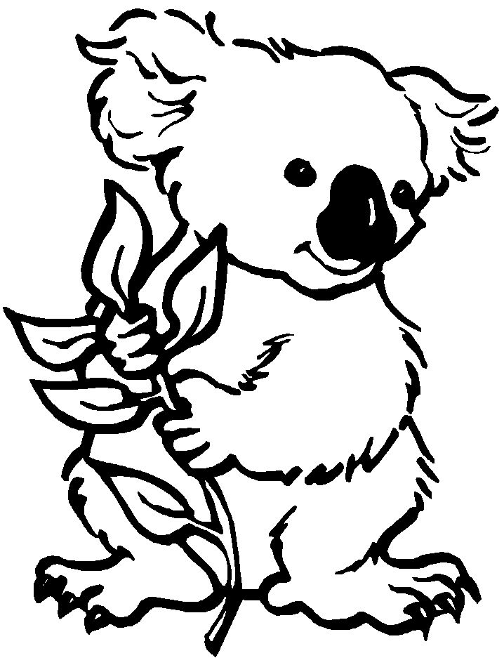 Free printable koala coloring pages for kids bear coloring pages animal coloring pages koala drawing