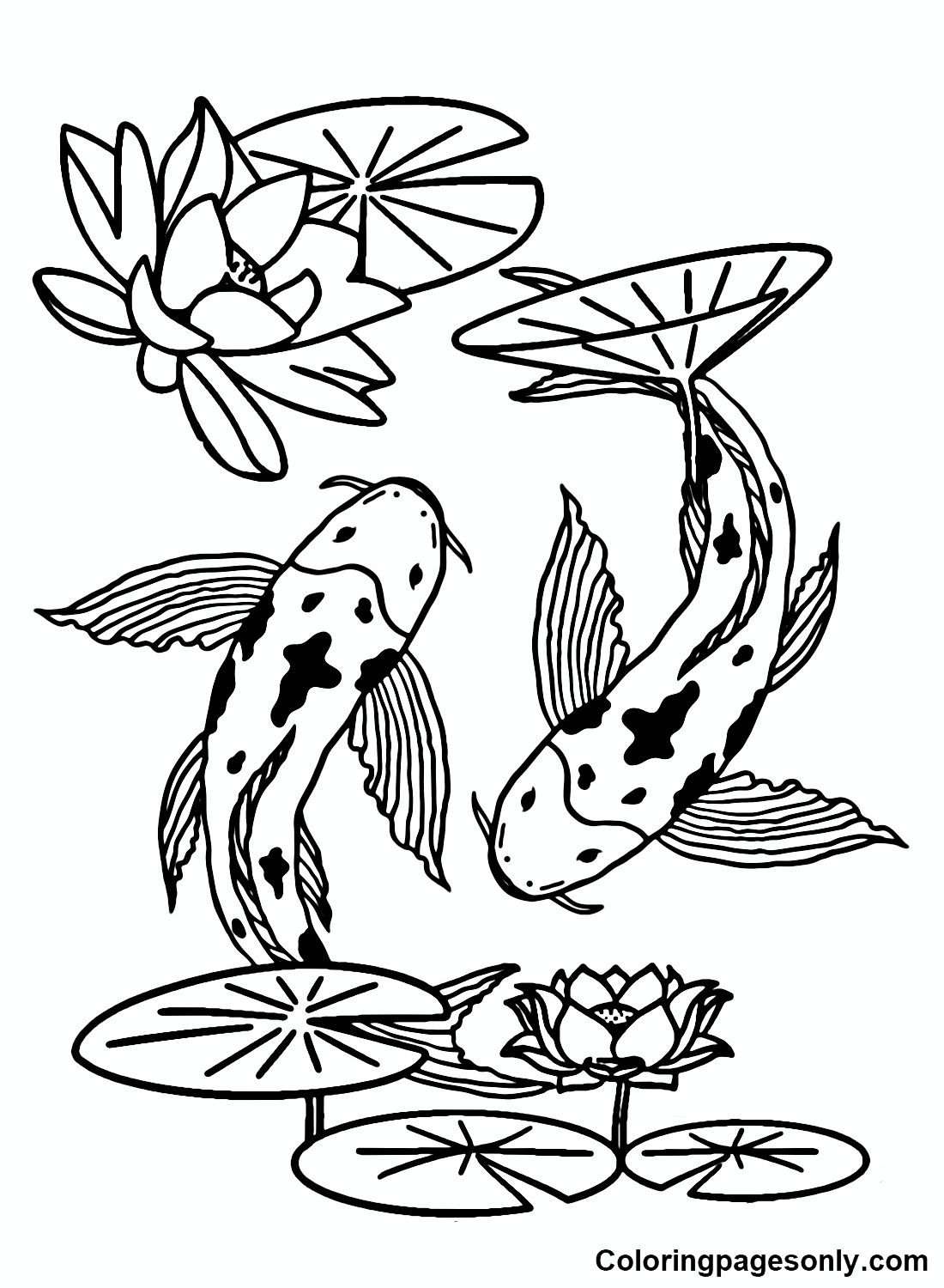 Koi fish coloring pages printable for free download