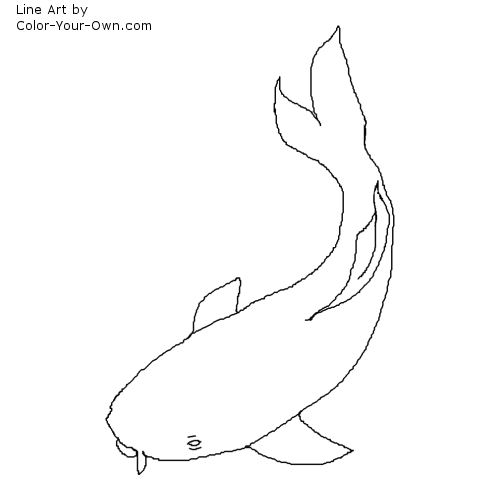 Koi fish coloring page