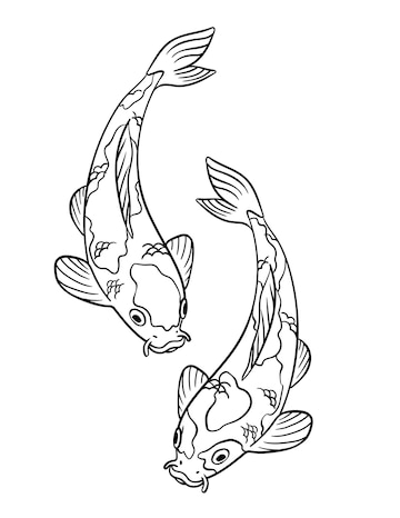 Premium vector koi fish isolated coloring page for kids